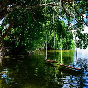 https://6-rancho-san-fernando-bacalar-villa-pina-colada.quintano-roohotels.com